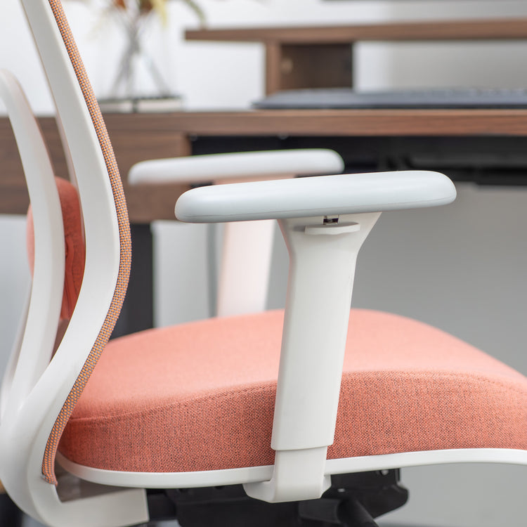 Desky Regal Mesh Office Chair