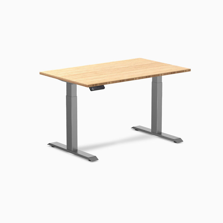 Desky Single Sit Stand Desk