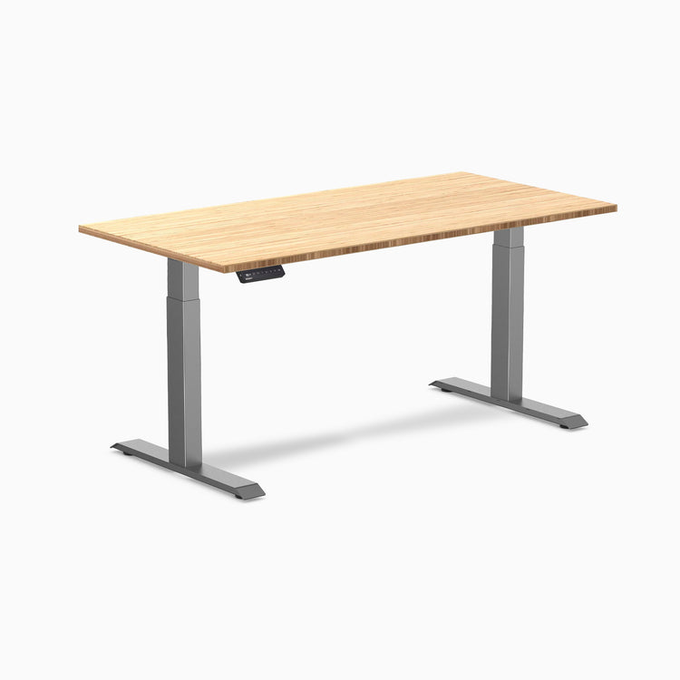 Desky Single Sit Stand Desk