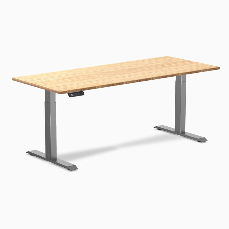 Desky Single Sit Stand Desk