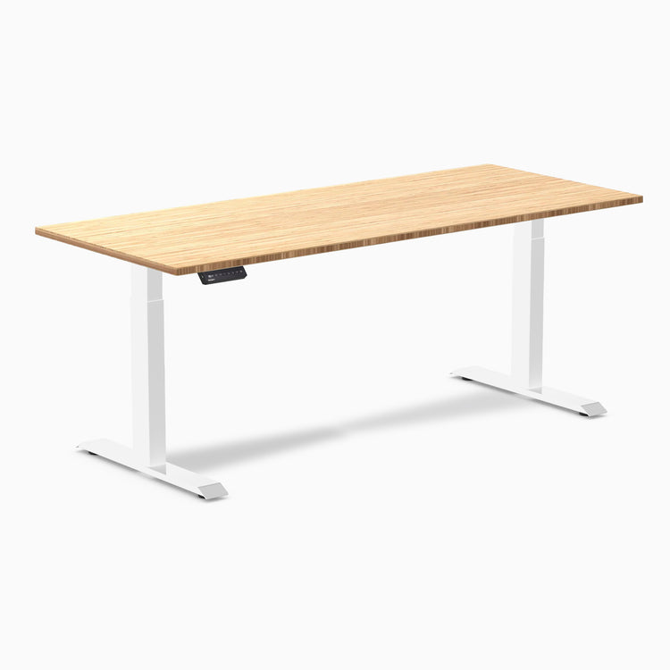 Desky Single Sit Stand Desk