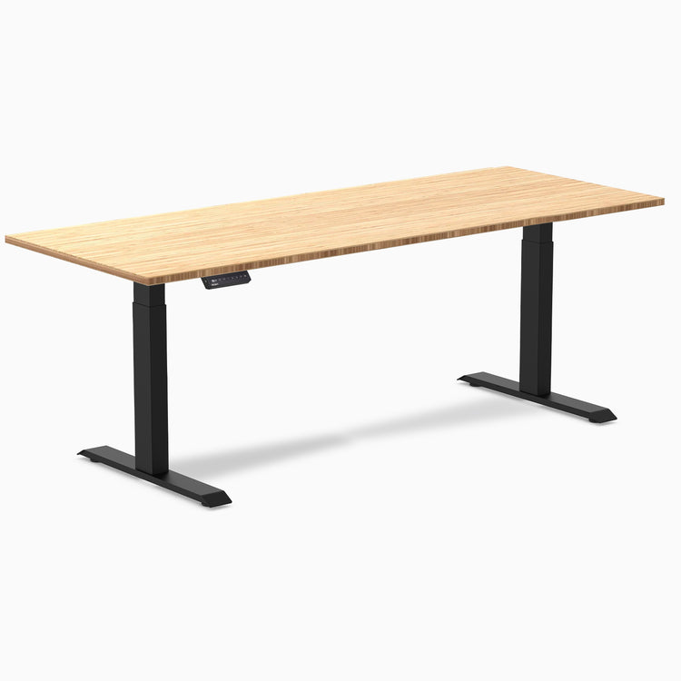 Desky Single Sit Stand Desk