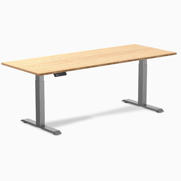 Desky Single Sit Stand Desk