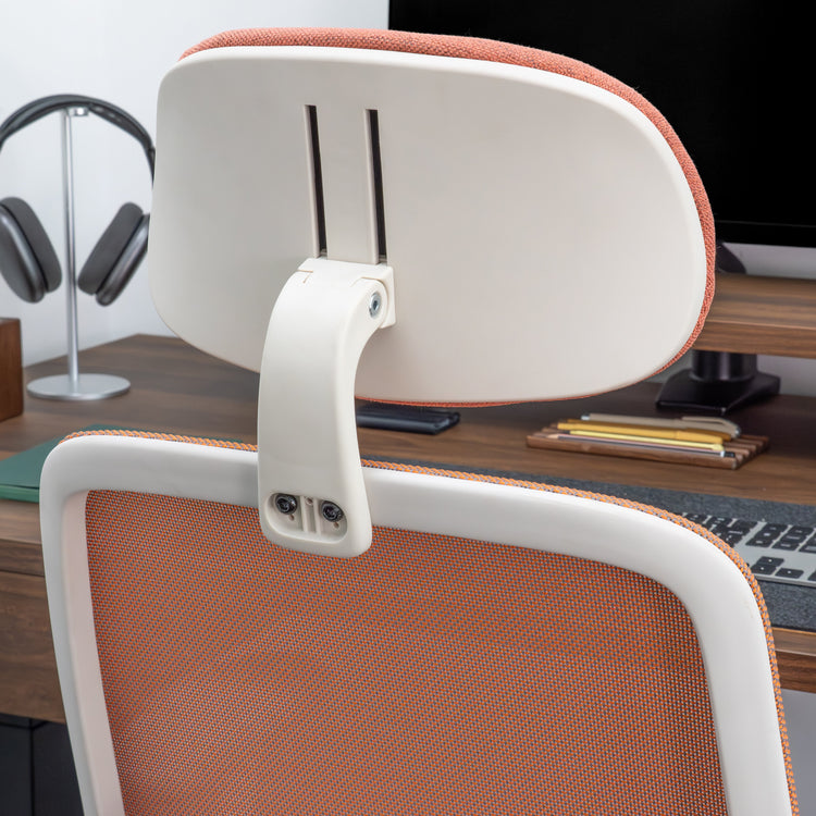 Desky Regal Mesh Office Chair