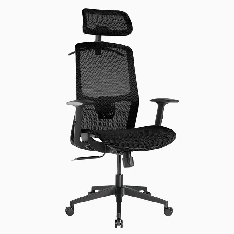 Desky Adjustable High Back Mesh Chair-Desky® Australia
