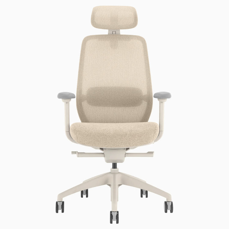 Desky CoilFlex Ergonomic Office Chair