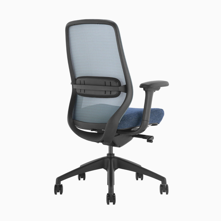 Blue Coilflex ergonomic chair with lumbar support - Desky