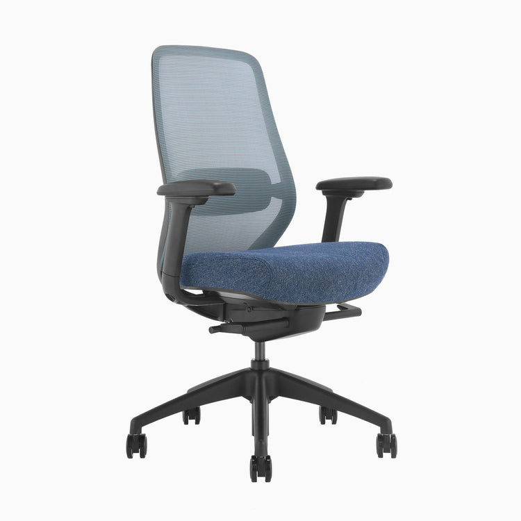 Blue Coilflex ergonomic chair - Desky