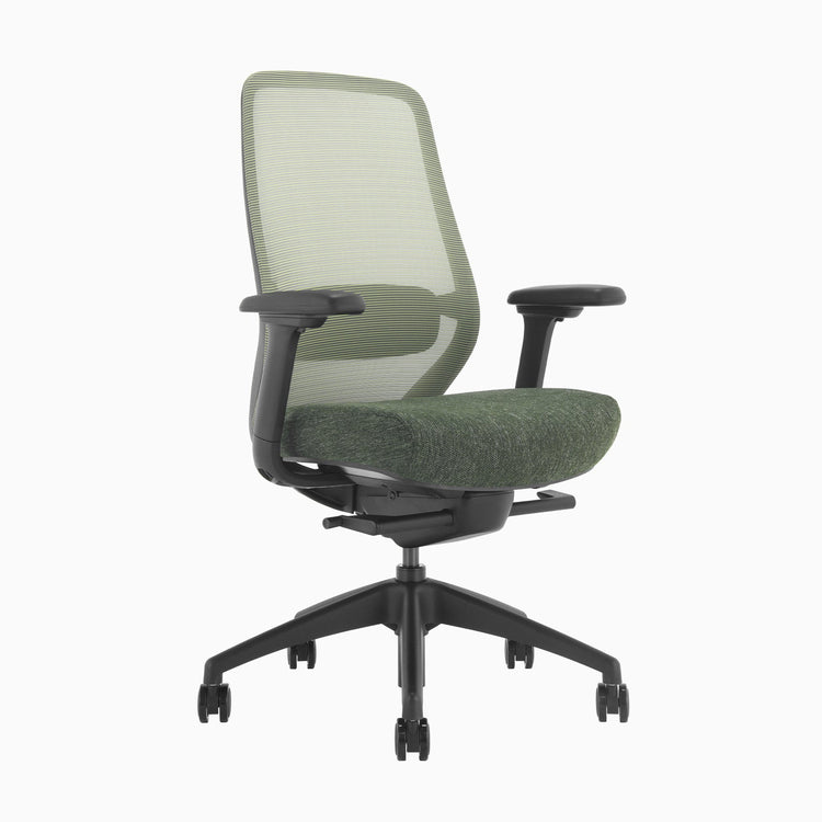 Desky coilflex chair with no headrest in green