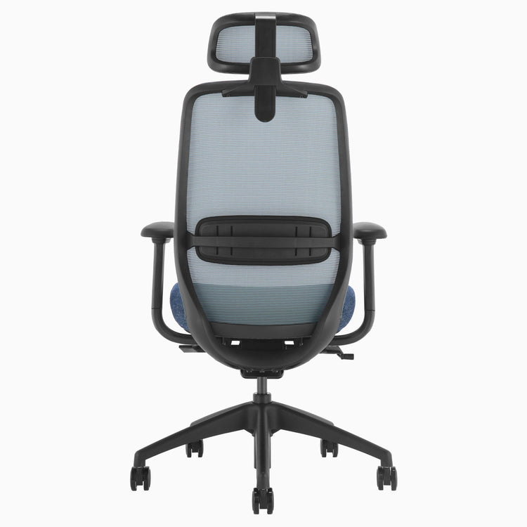 Blue coilflex spring mechanism ergo chair