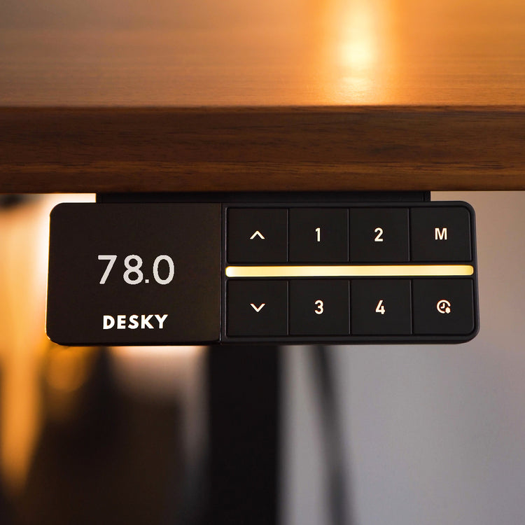 desky dual motor bluetooth controller