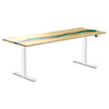 Desky Dual Resin Hardwood Sit Stand Desk-White Ash Emerald River Desky®
