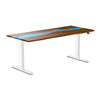 dual resin hardwood sit stand desk