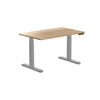 Almost Perfect Desky Dual Hardwood Sit Stand Desk-White Ash Desky®