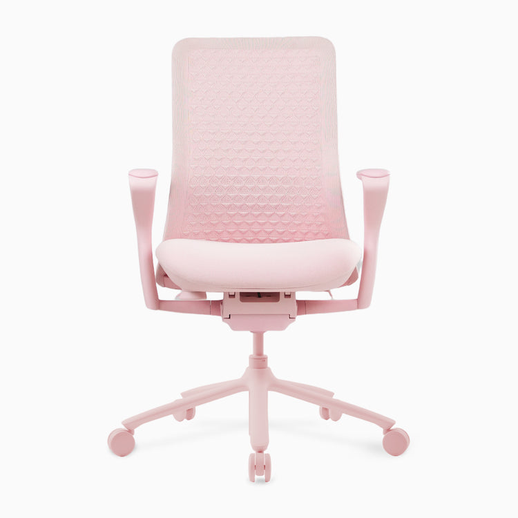 Desky Pro Ergonomic Mesh Chair