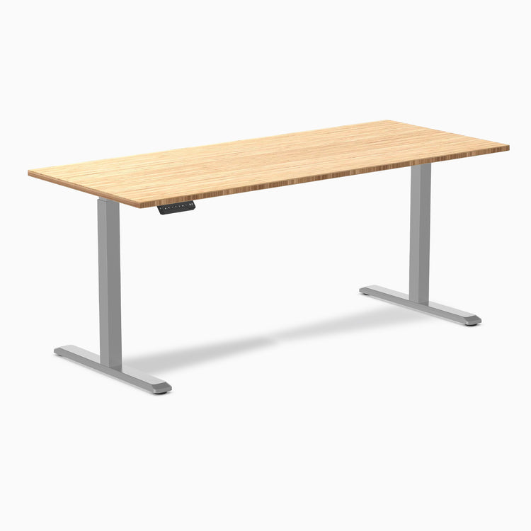 Desky Single Sit Stand Desk