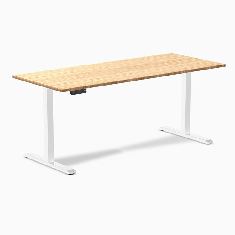 Desky Single Sit Stand Desk