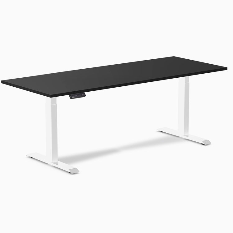 Desky Single Sit Stand Desk