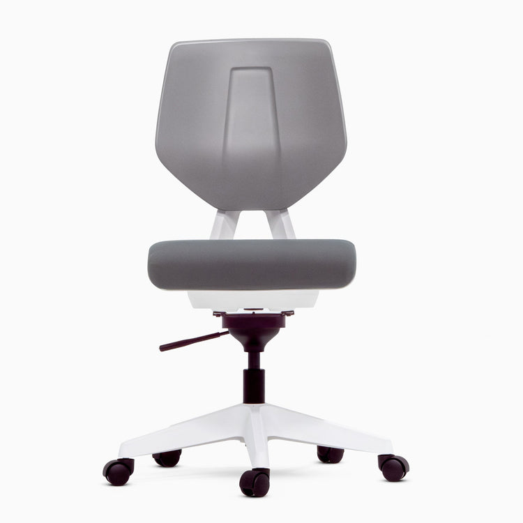 Ergonomic swivel chair - Desky