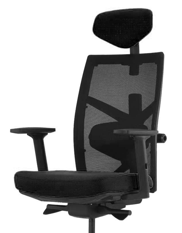 mesh ergonomic chair with lumbar support