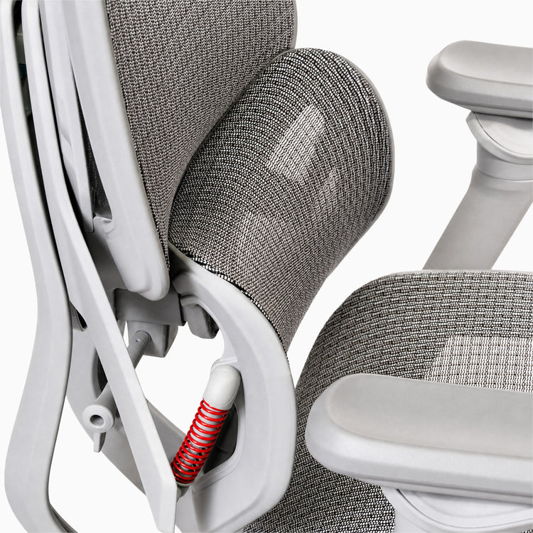 Desky contourra mesh back and lumbar