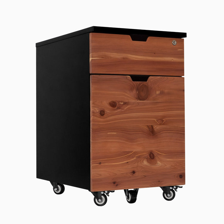 Softwood Red Cedar Black minimal filing cabinet