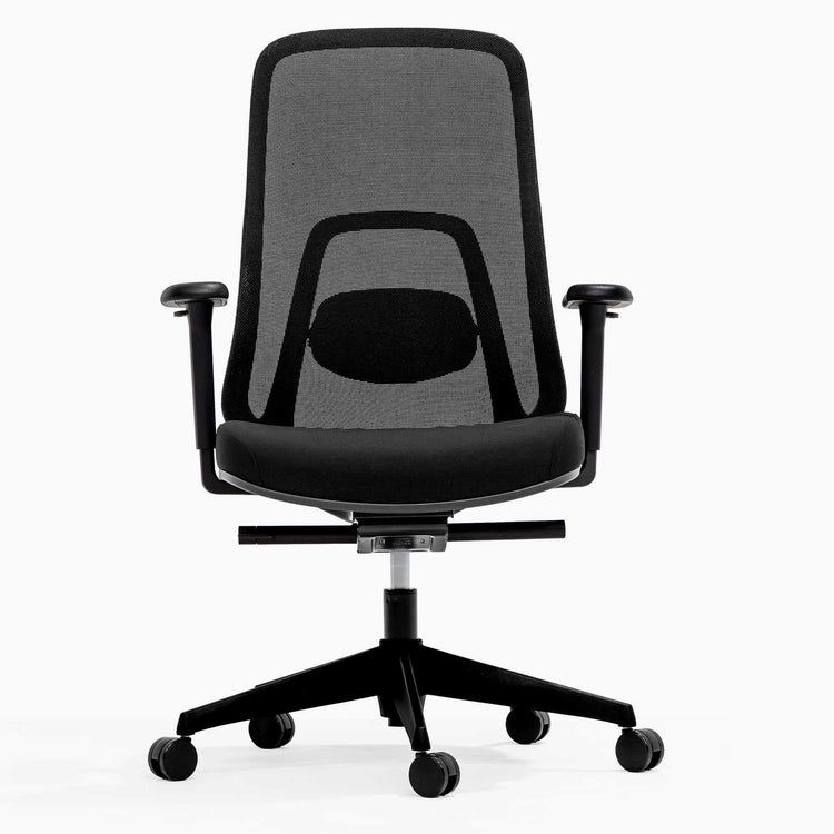 Adjustable office chair regal chair - Desky