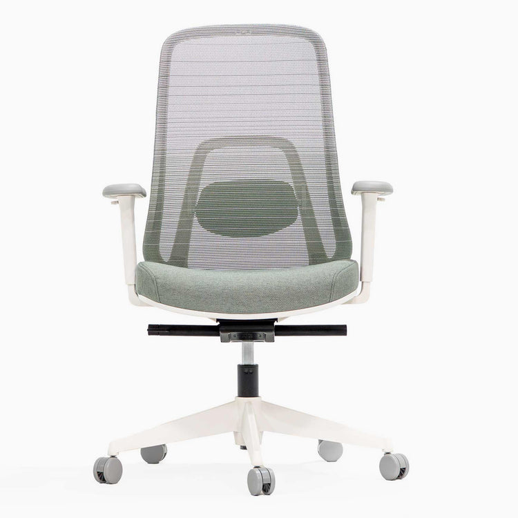 Ergonomic office chair regal chair - Desky