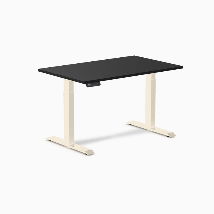 Desky Single Sit Stand Gaming Desk