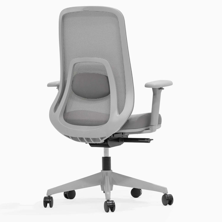 Adjustable office chair regal mesh - Desky