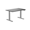 Desky Alpha Dual Sit Stand Gaming Desk-Straight Edge Desky®