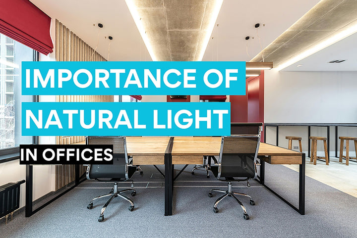 the importance of natural light in offices