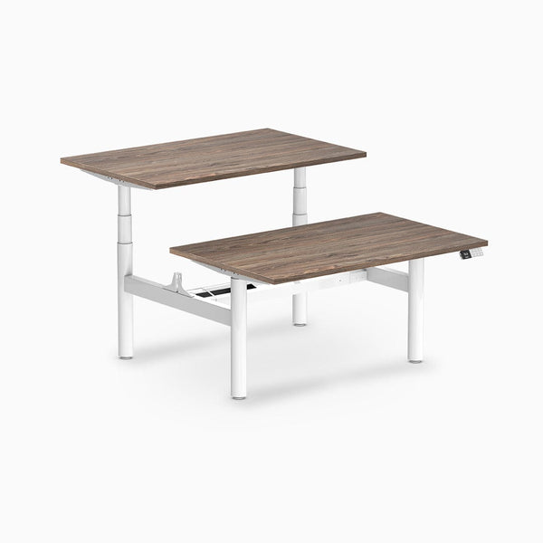 Desky electric Back to Back Round Leg Melamine natural walnut desktop