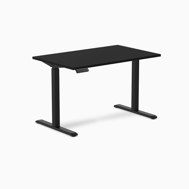 Desky Single Sit Stand Gaming Desk