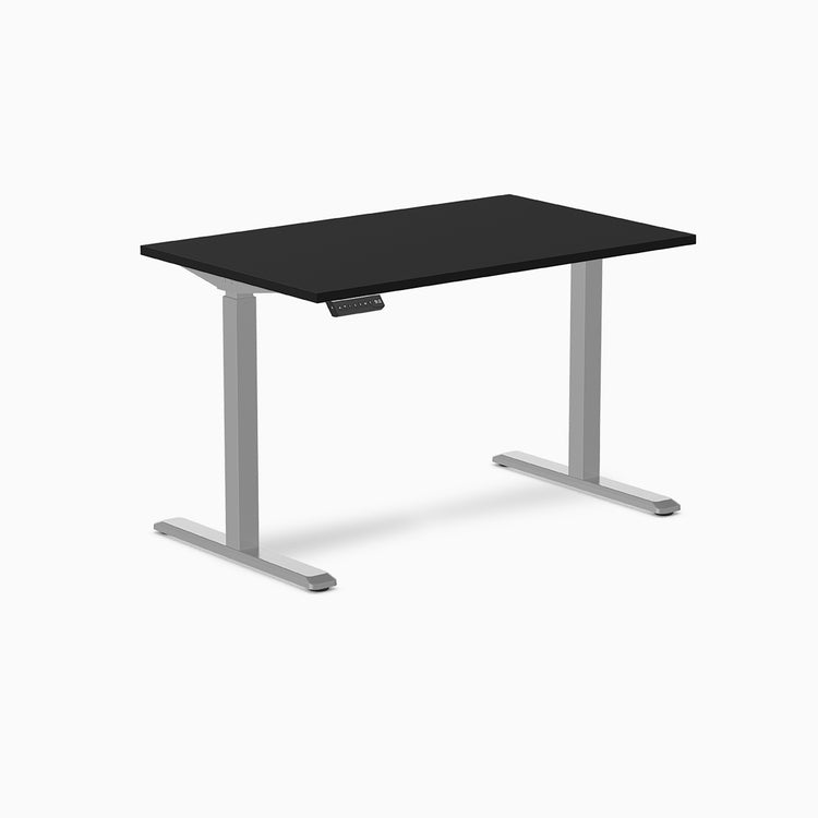 Desky Single Sit Stand Gaming Desk