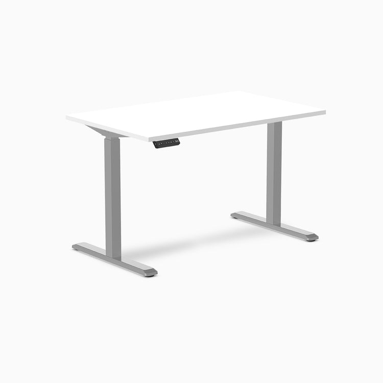 Desky Single Sit Stand Gaming Desk