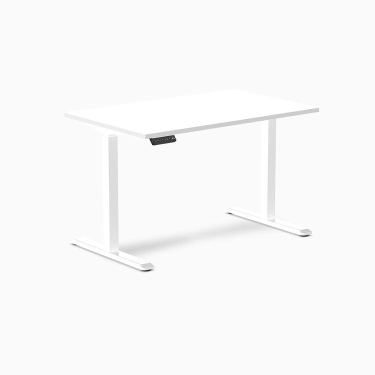 Desky Single Sit Stand Gaming Desk