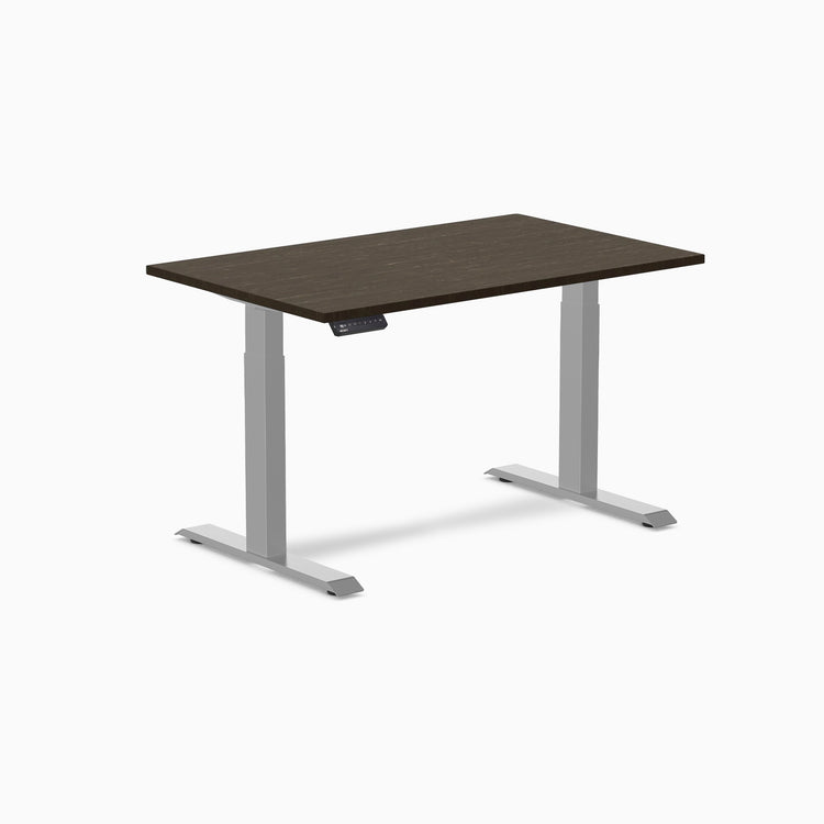 Desky Single Sit Stand Desk