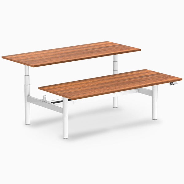 Desky electric Back to Back Round Leg Melamine prime oak desktop
