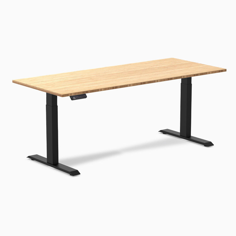 Desky Single Sit Stand Desk