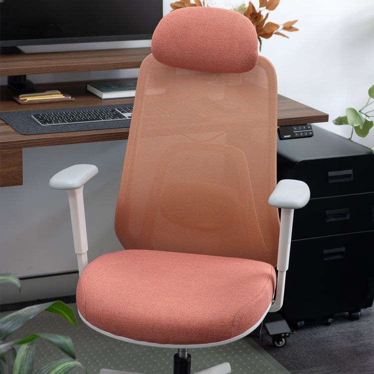 Desky Regal Mesh Office Chair