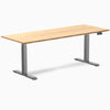 Desky bamboo dual desk in space grey