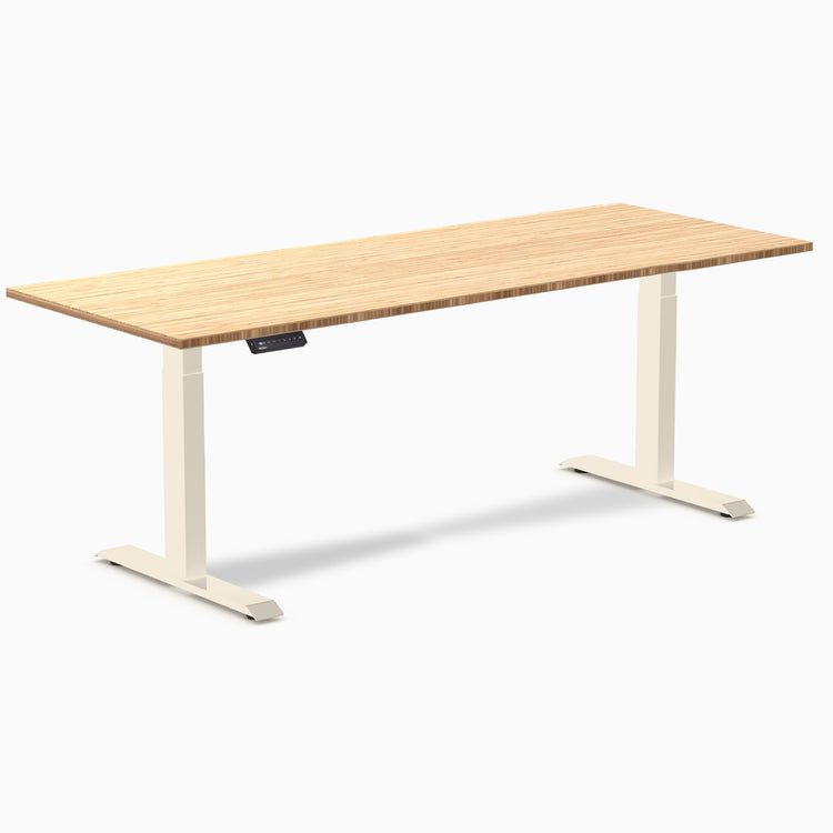 Desky Single Sit Stand Desk
