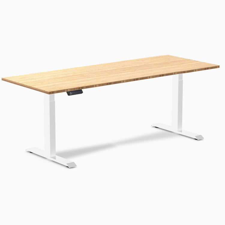 Desky Single Sit Stand Desk