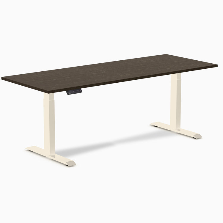 Desky Single Sit Stand Desk