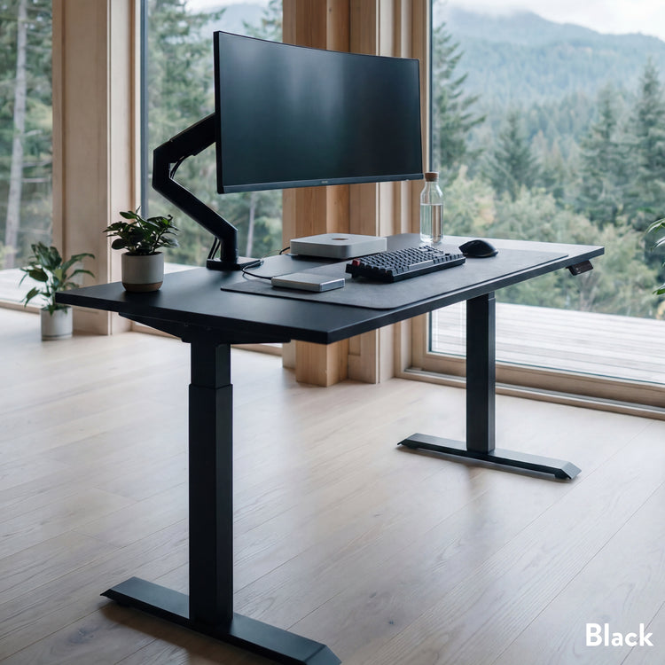 Black single sit stand desk - Desky