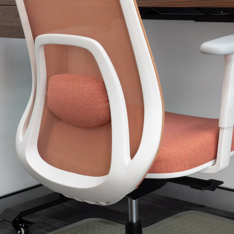 Desky Regal Mesh Office Chair