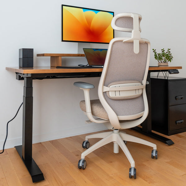 Desky CoilFlex Ergonomic Office Chair detail view 8