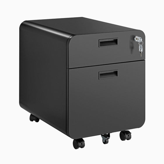 2 drawer mobile filing cabinet