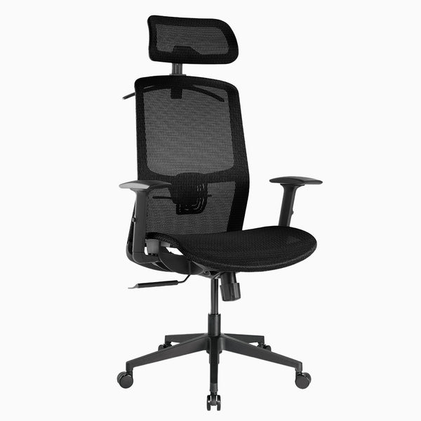 Desky Adjustable High Back Mesh Chair-Desky® Australia